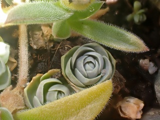 PA256384a.jpg